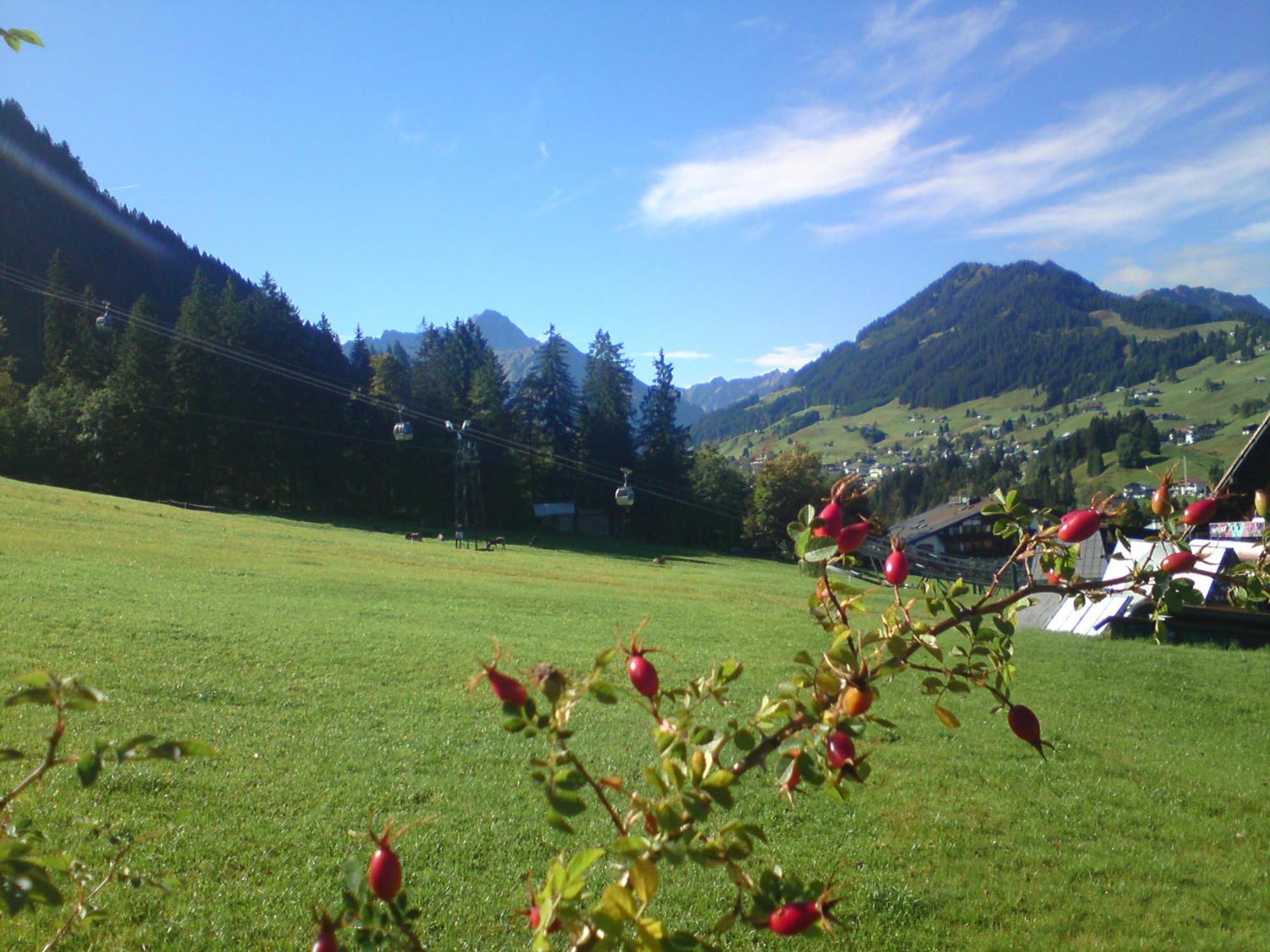 Schusterhof Villa Mittelberg Buitenkant foto