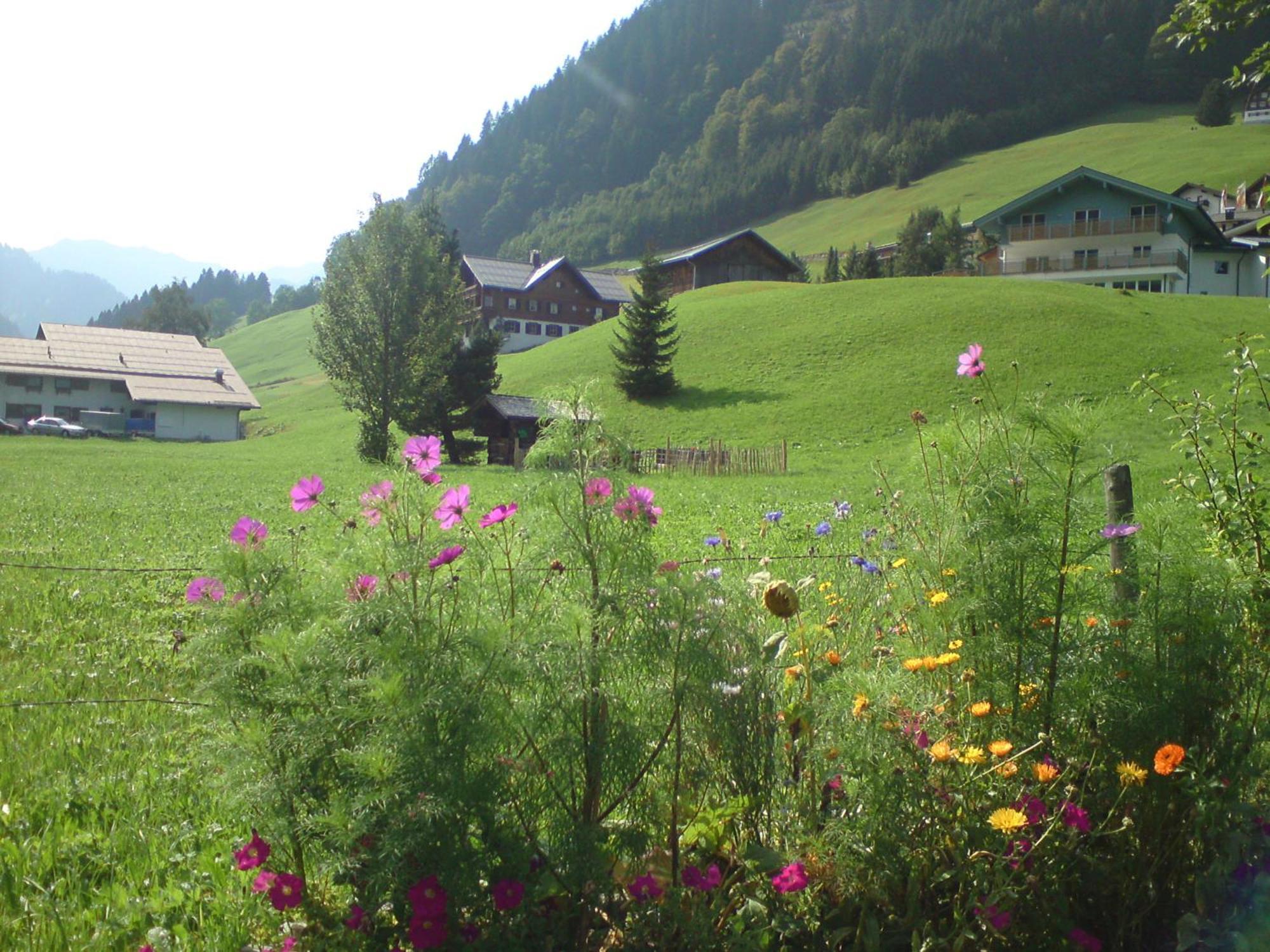 Schusterhof Villa Mittelberg Buitenkant foto